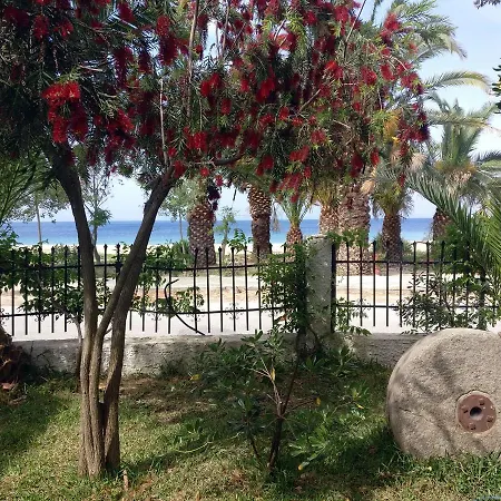 Olga Beachfront * Toroni