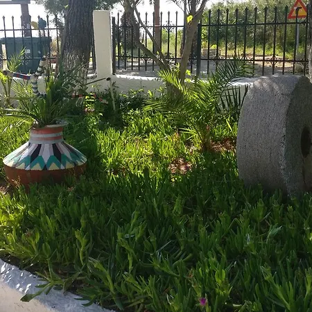Olga Beachfront Appartamento *