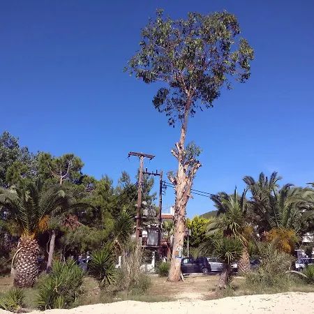 Olga Beachfront Appartamento Toroni