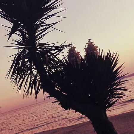 Olga Beachfront Toroni